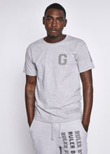Load image into Gallery viewer, Grey T Shirt Grey Logo
