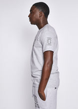 Load image into Gallery viewer, Grey T Shirt Grey Logo
